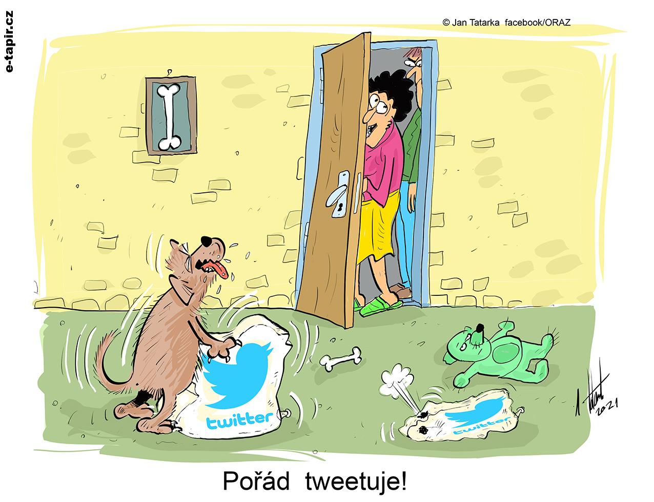 tweetuje_WEB-9a3f5d16