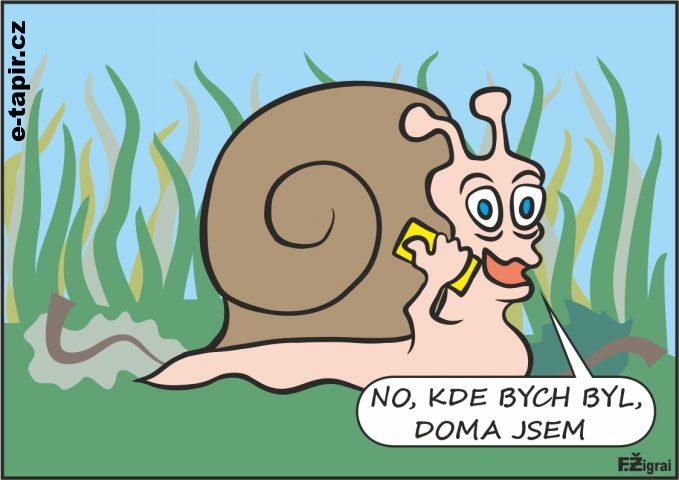 Frantisek Zigrai - doma-4e13b4bd