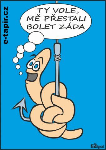 Frantisek Zigrai - zizala-f9db707d