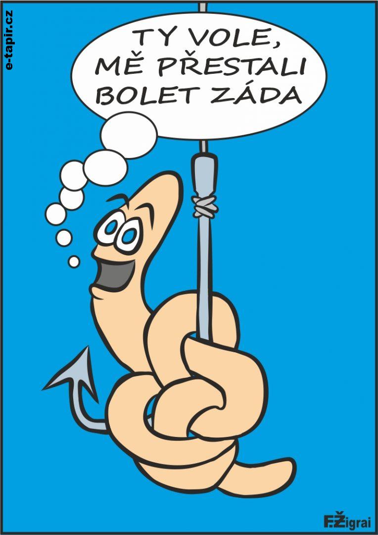 Frantisek Zigrai - zizala-f9db707d