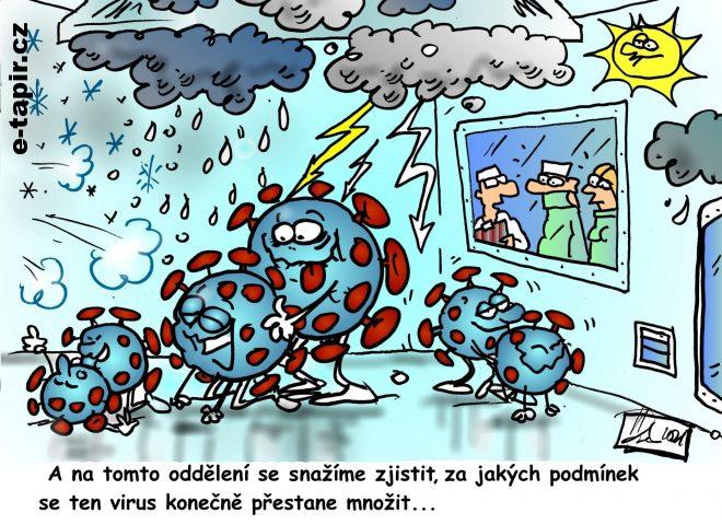 Oprava V.Dvorak vtip mnozeni viru-4642a5b0