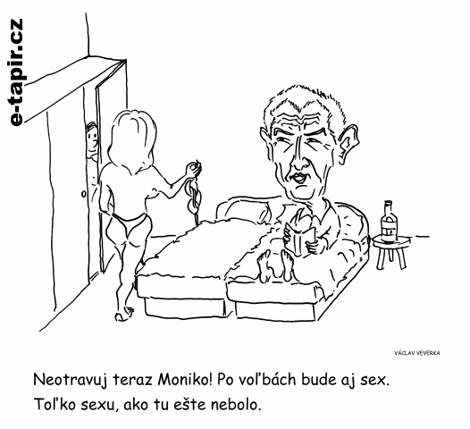 Po volbách-792cfecb