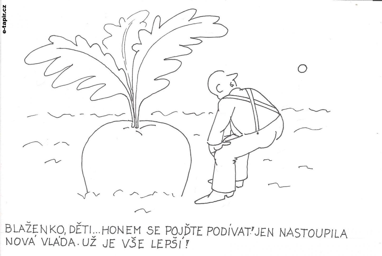 Obrázek (82)-fb180458