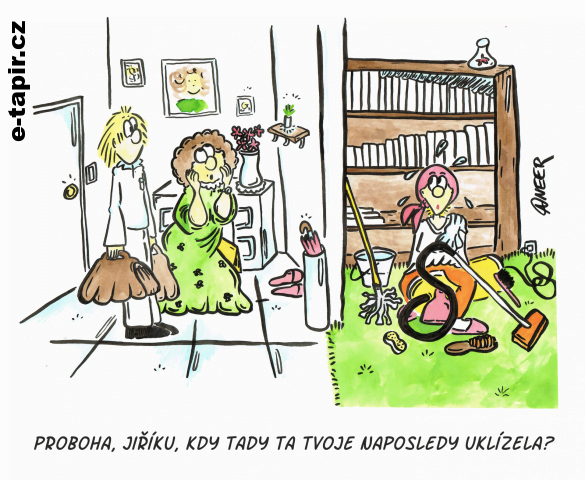 aneer_uklid-32870537