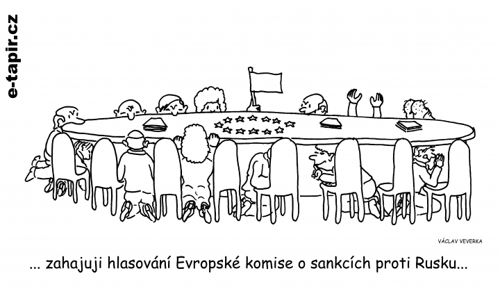 hlasování-50dd2fad