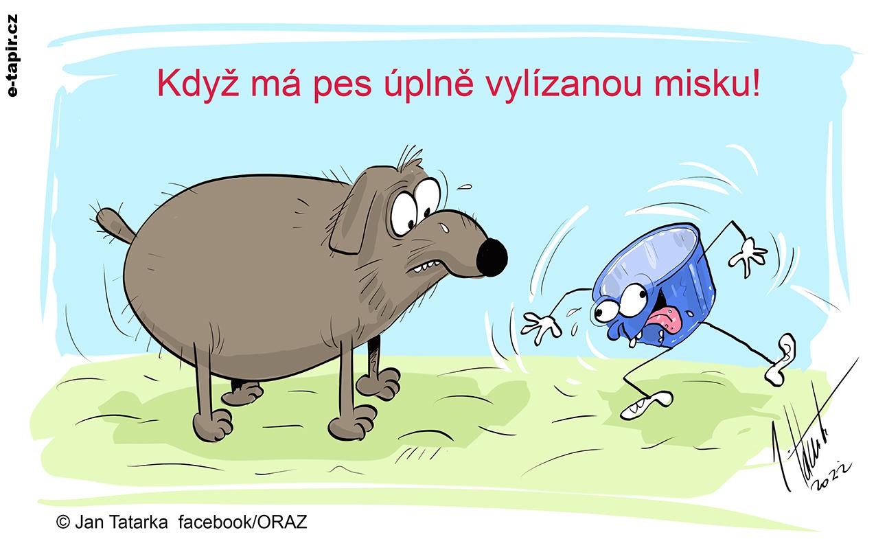 vylizanou_WEB-0a9584b9