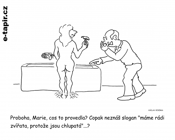 Chlupatá i bez chlupů - Veverka-e4d29a24