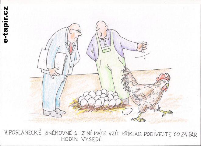 Obrázek (35)-d0c4c83f