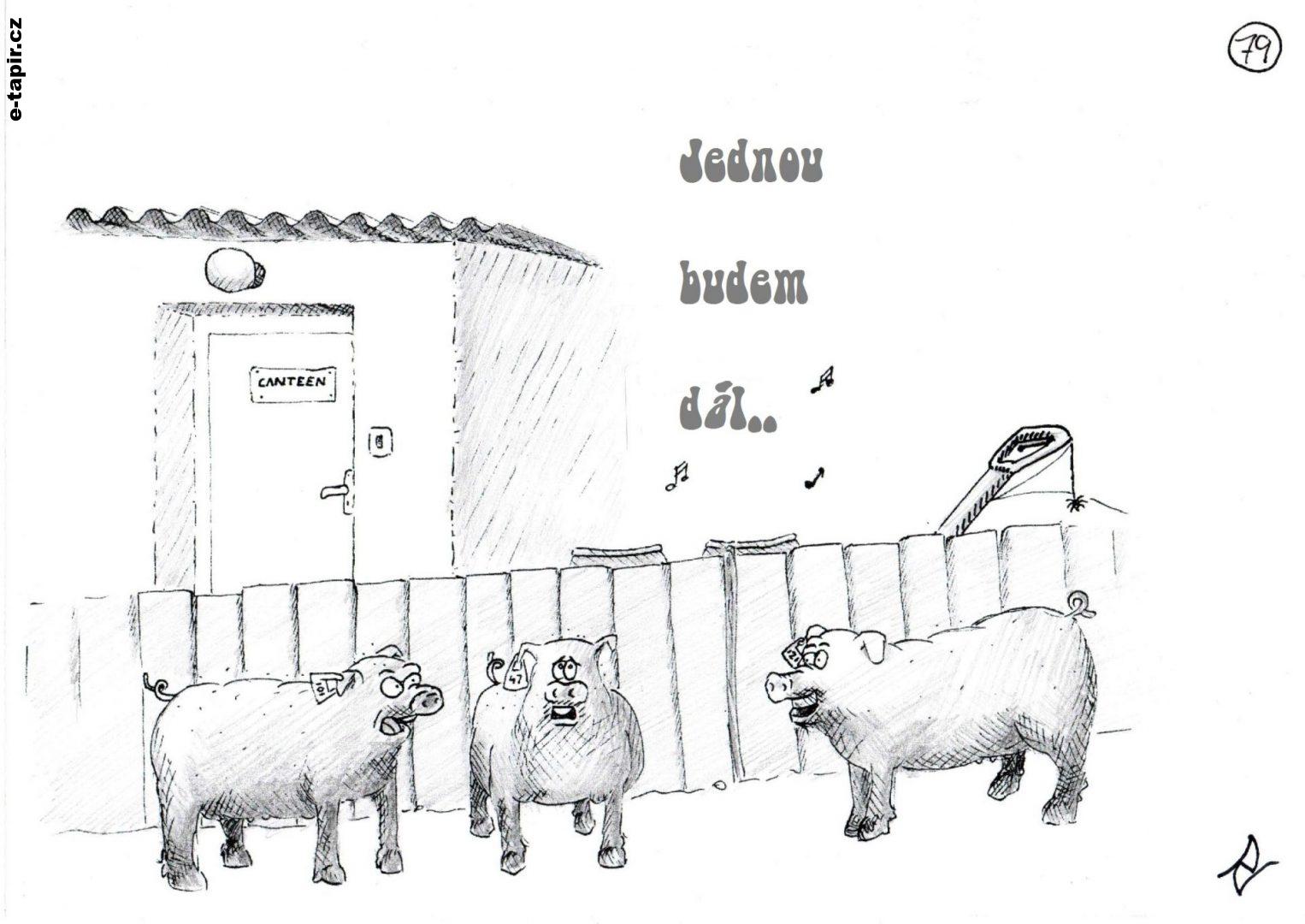 img-jednou budem dál-stx-cz-c1915056