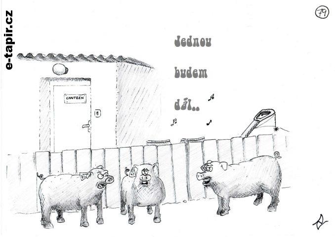 img-jednou budem dál-stx-cz-c1915056