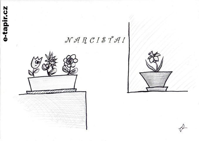 img-narcista-stx-cz-7b5a2959