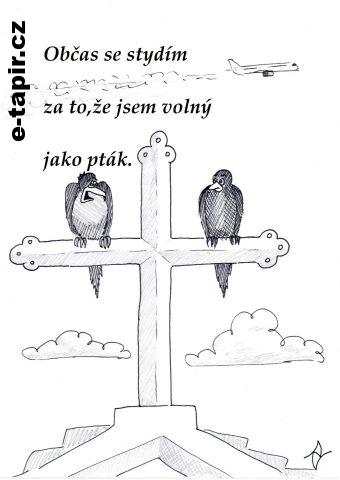 img-volný,jako pták-ctx-cz-ff8b6ca3