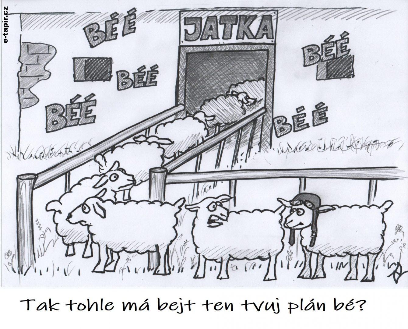 ovce-plán bé-842bde9f