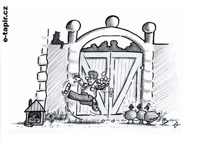 svoboda projevu-596ee0b0