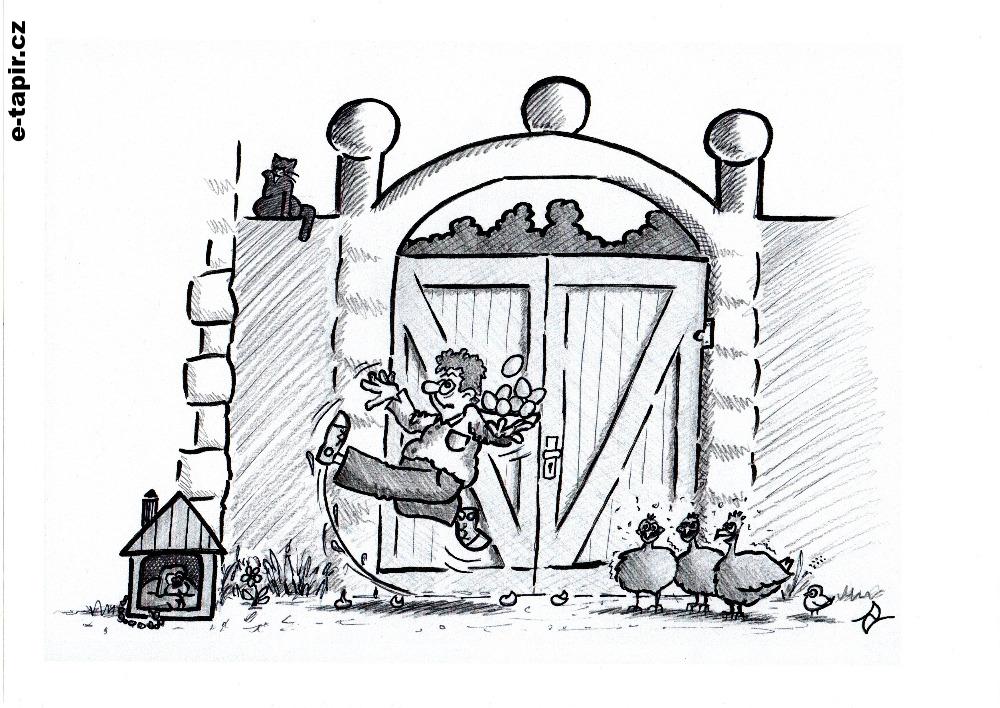 svoboda projevu-596ee0b0