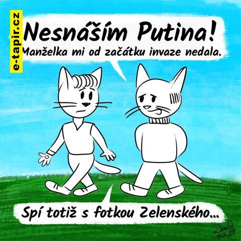 danq-2022-04-10-putinantikoncepce-e29f3246