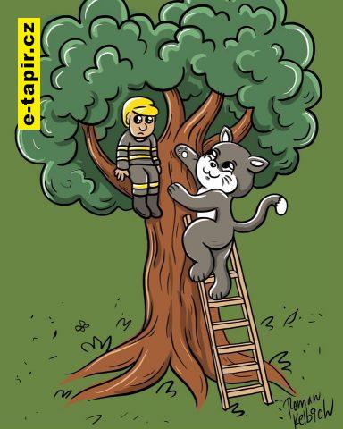 279494792_398222342310049_1955357530694824954_n-f8108146