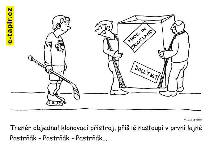 Dolly - Pastrňák-11f0d645