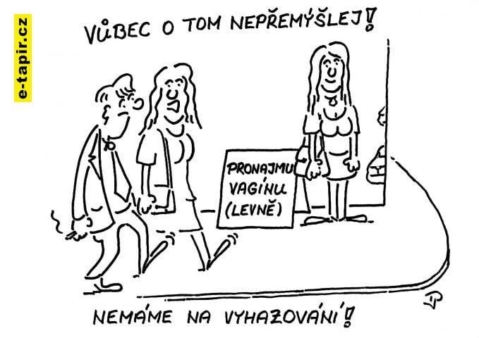 Pronajmu vagínu-b6efb7c5