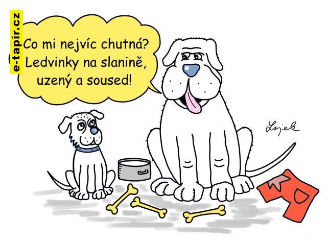 Tomas Lojek - Gastro, Zvirata VIII-731efc19