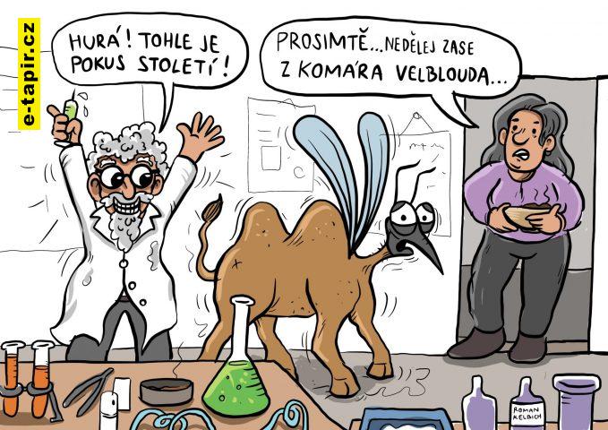 Untitled_Artwork - 2022-05-17T175440.997-fbd4bac8