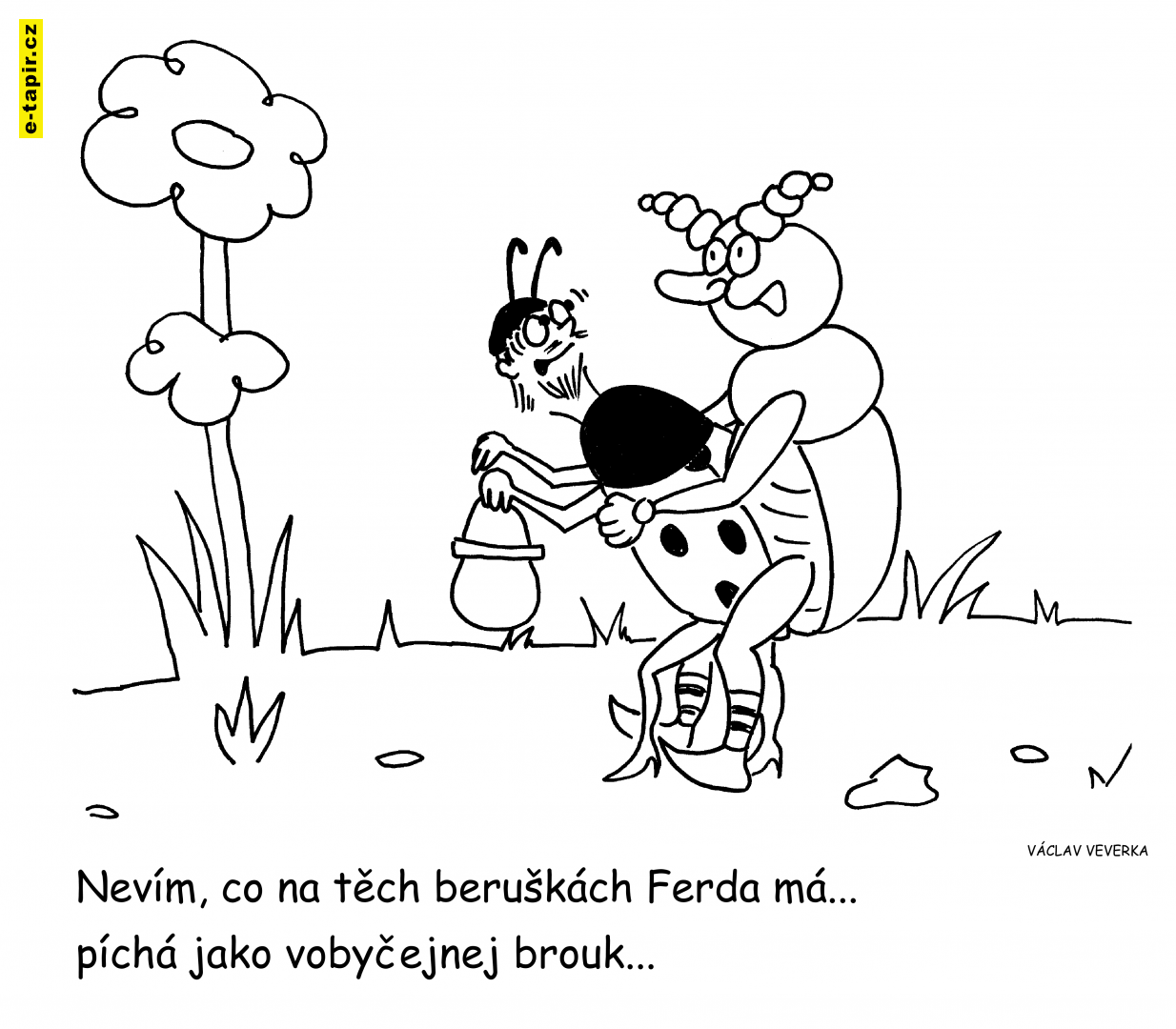 beuška a brouk Pytlík-43b9b9f7