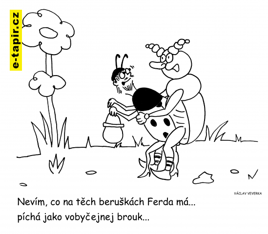 beuška a brouk Pytlík-43b9b9f7