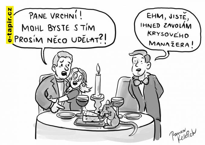 krysovy manazer-afbfa70d