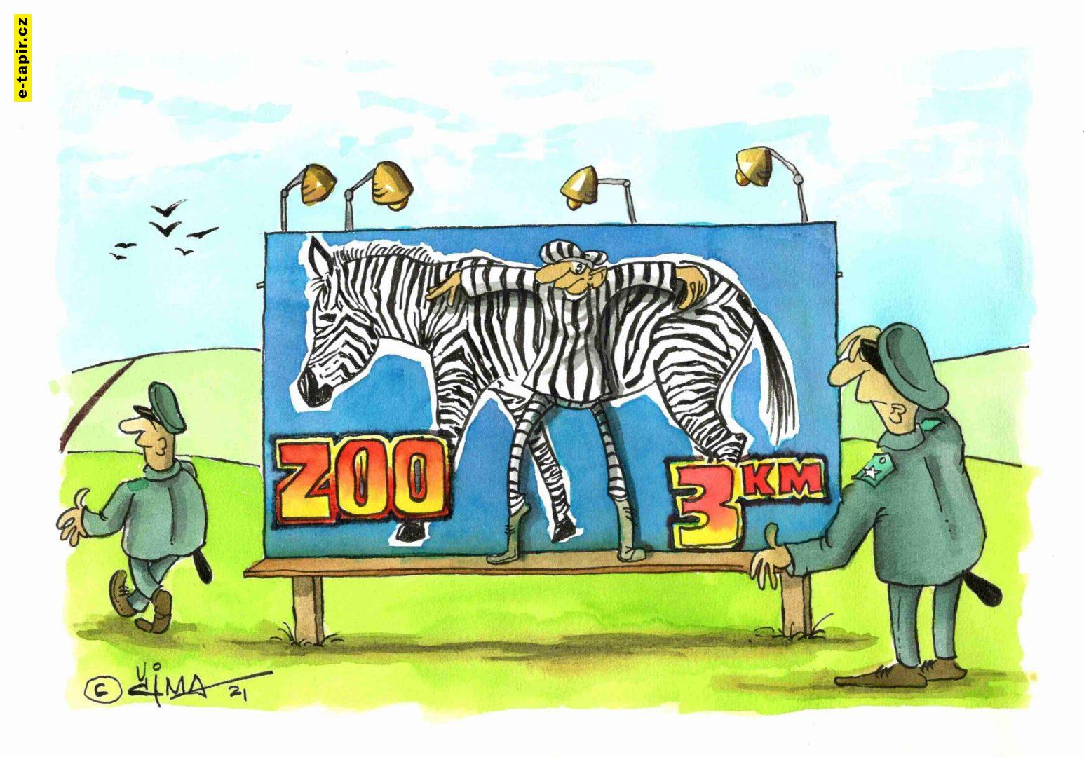 041 _© 2021 cima _ zebra-fa4aa418