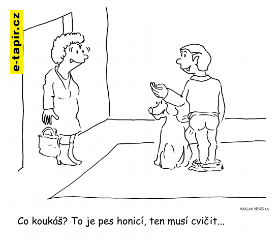 Pes honicí-1bb018c2