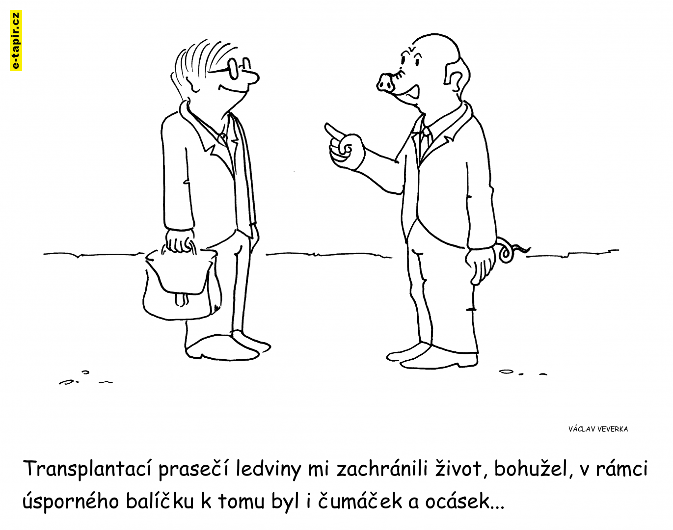 transplantace-81a43561