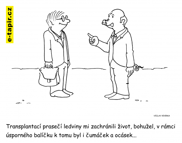 transplantace-81a43561