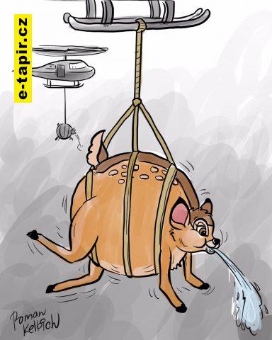 295447111_459727959492820_4492081807623818169_n-a11a392b