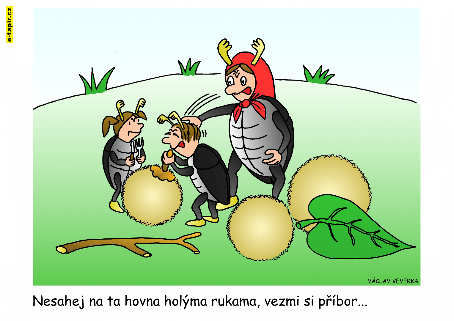 MFKH 2022 Veverka 3-83742933