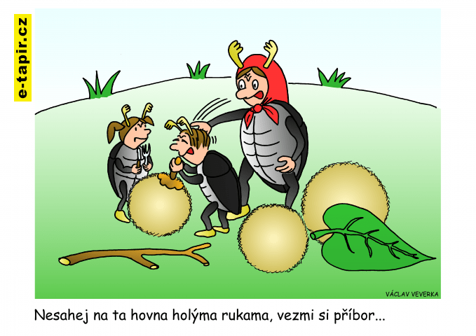 MFKH 2022 Veverka 3-83742933