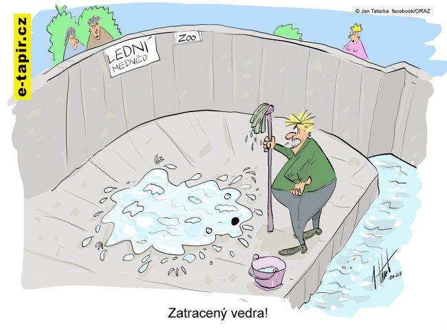 ledni_medved_WEB-bc188f89