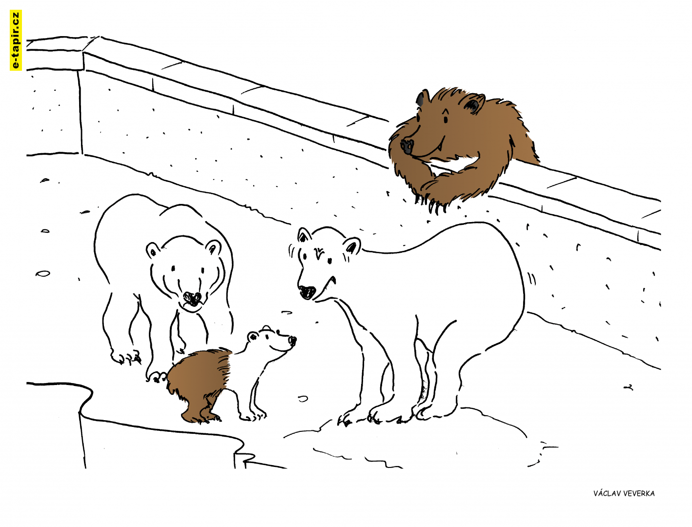 medvědi-efd6bbca
