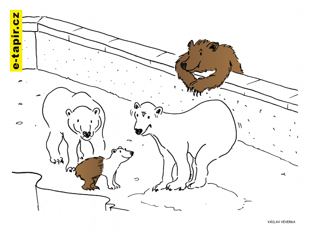 medvědi-efd6bbca