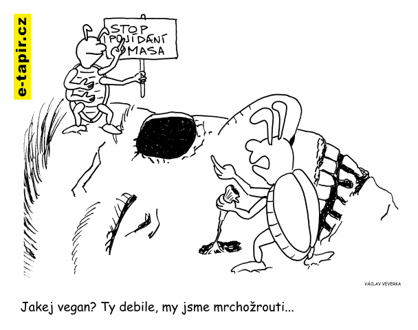 mrchožrouti-e8483fe6