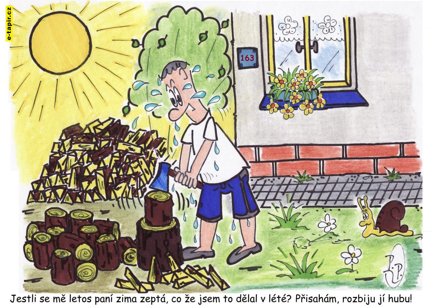 352 - Dříví na zimu-03164d26