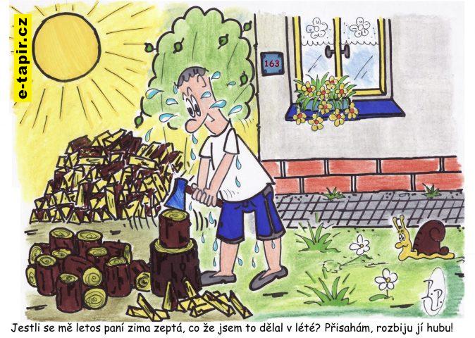 352 - Dříví na zimu-03164d26