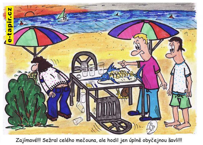 353 - Mečoun-0282528d