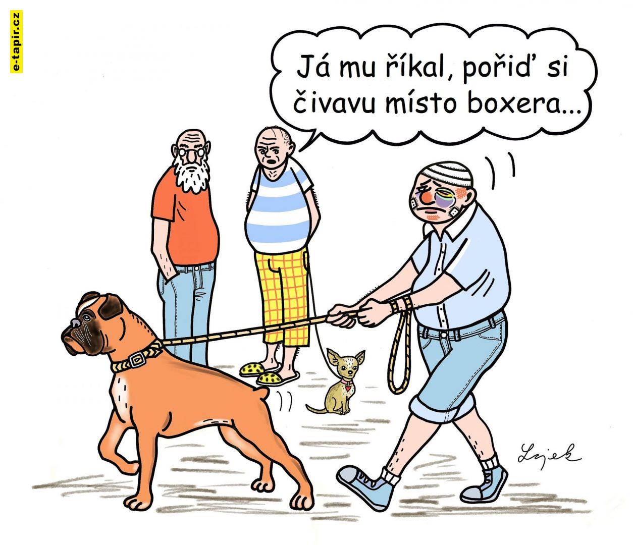 Tomas Lojek - Zvirata IX-7dbcdc2b