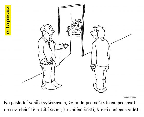 do roztrhání těla-b8d58036