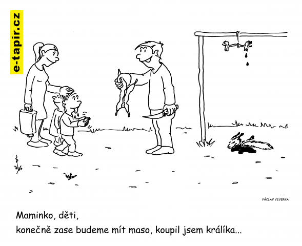 králíček-004a2c8b