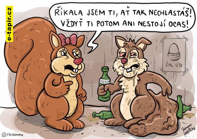 298984384_475452167920399_5476017584145105713_n-e3f1bafa