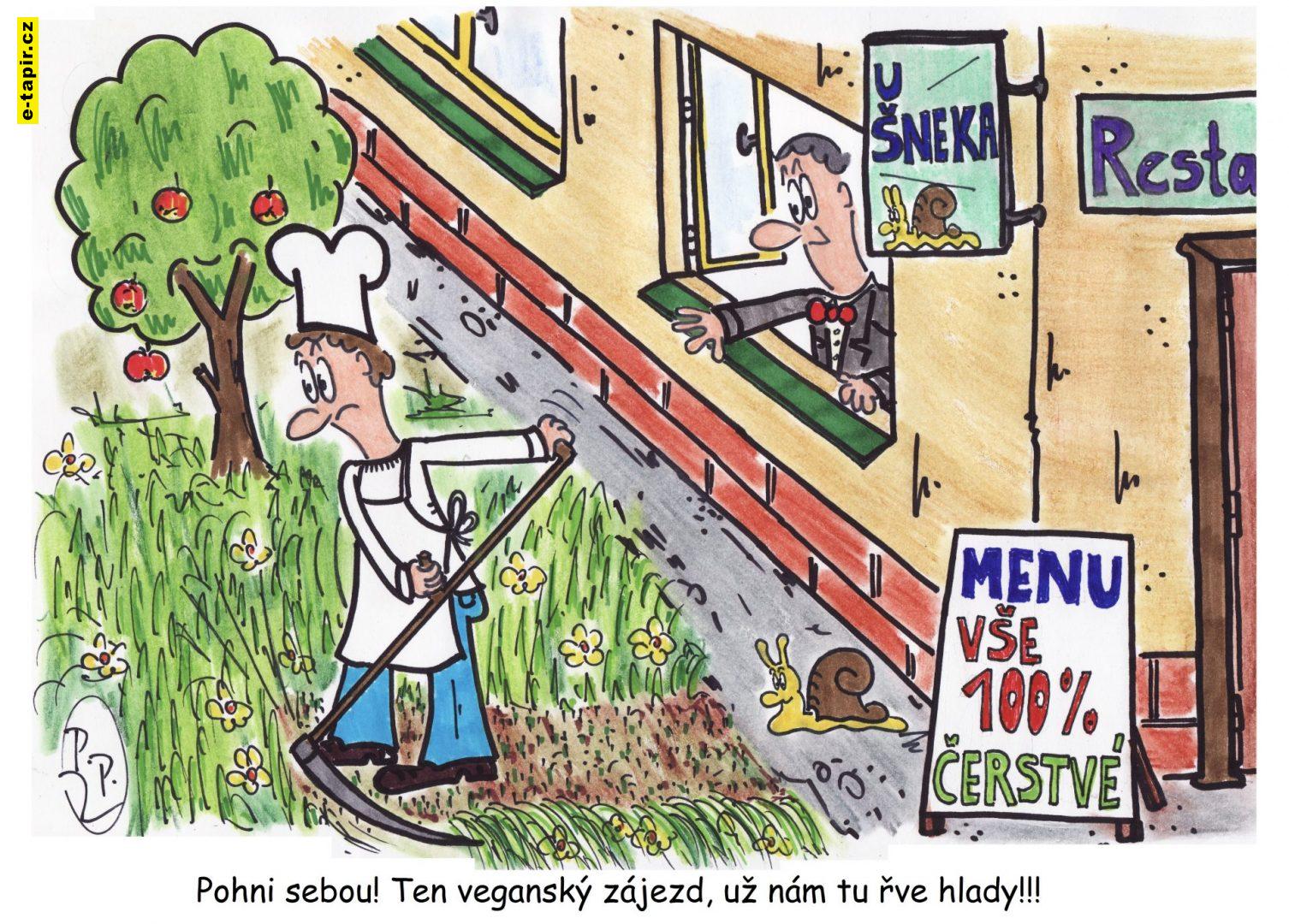 351 - Veganský zájezd-e1a67386