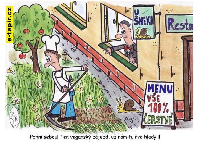 351 - Veganský zájezd-e1a67386