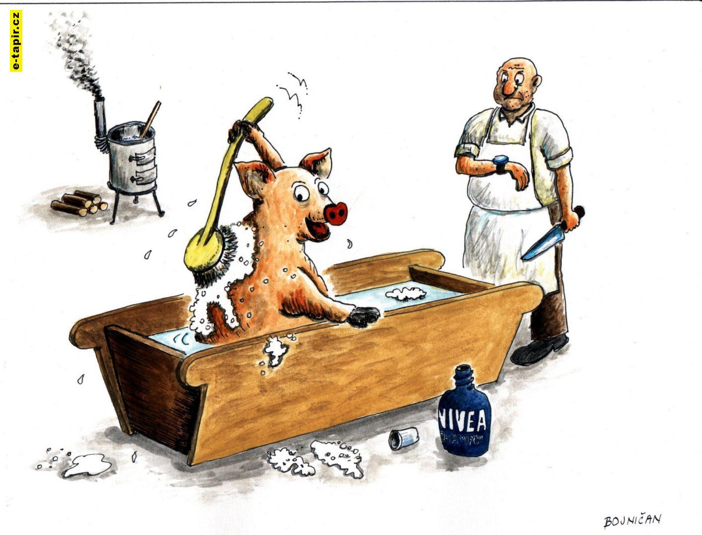 6. miesto - 2022-fcfdbfbe