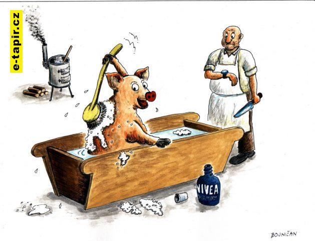 6. miesto - 2022-fcfdbfbe